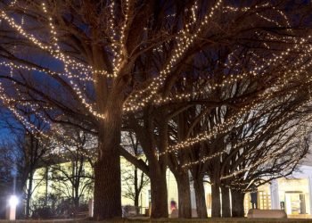 NM teacher pension fund director to step down » Albuquerque Journal