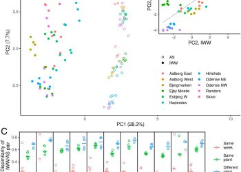 Mass-immigration determines the assembly of activated sludge microbial communities