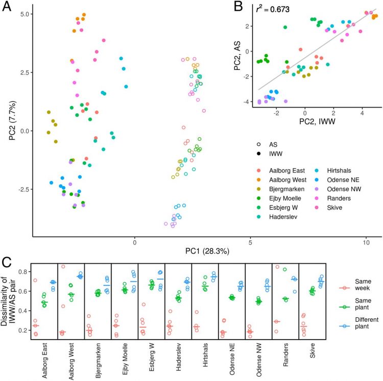Mass-immigration determines the assembly of activated sludge microbial communities
