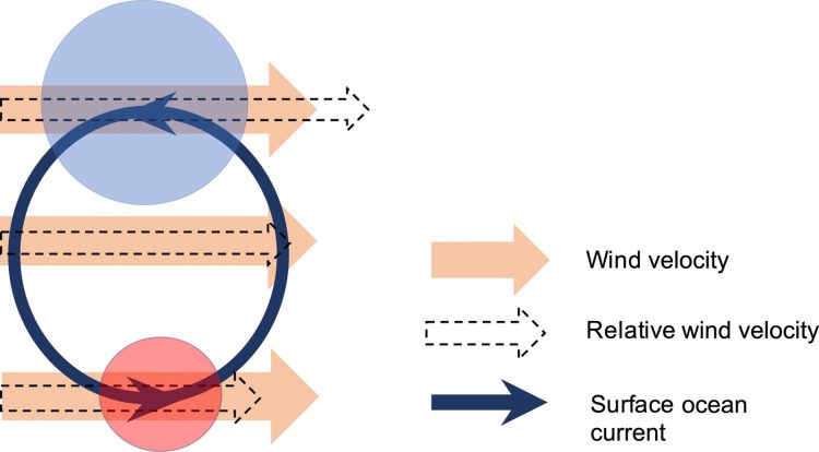 Scale of oceanic eddy killing by wind from global satellite observations