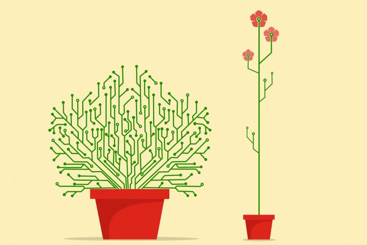 Why It’s Time for Investors to Turn to Smaller Tech Stocks