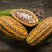 Low cocoa prices pose ‘serious consequences for long-term supply of chocolate’, warns Fairtrade