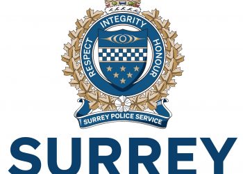 SPS launches community consultation with survey, stakeholder interviews, focus groups