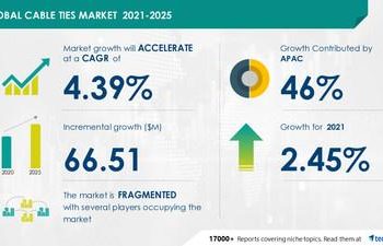 Global Outlook, Consumer Demands, and Insights