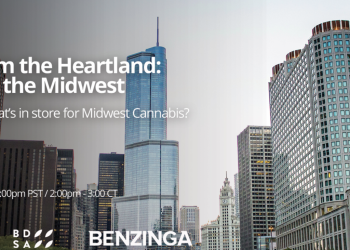 Cannabis In The Midwest – The Green Belt: Webinar Looks Into What’s In Store