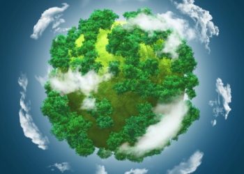 Sustainability and Green Marketing Shaping Consumer Preferences